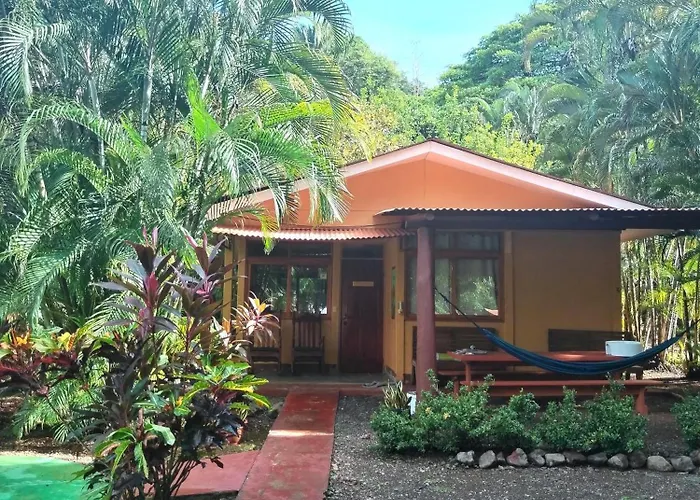 Turtle * Corozalito