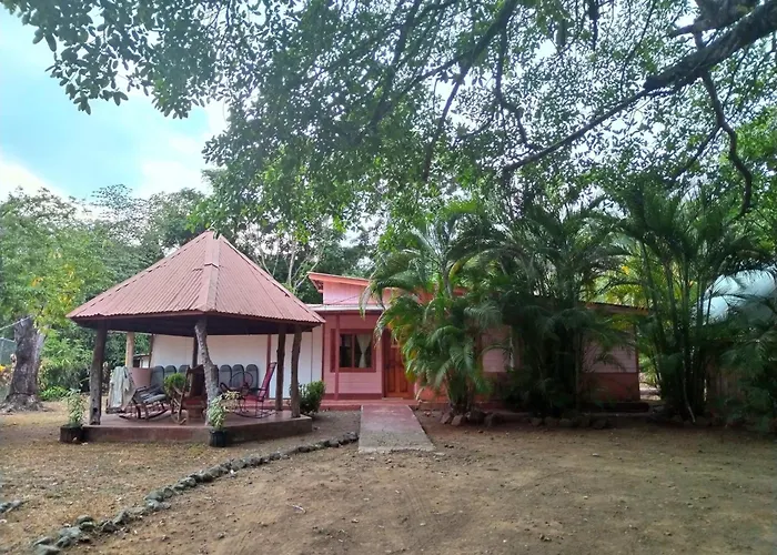 Turtle Corozalito
