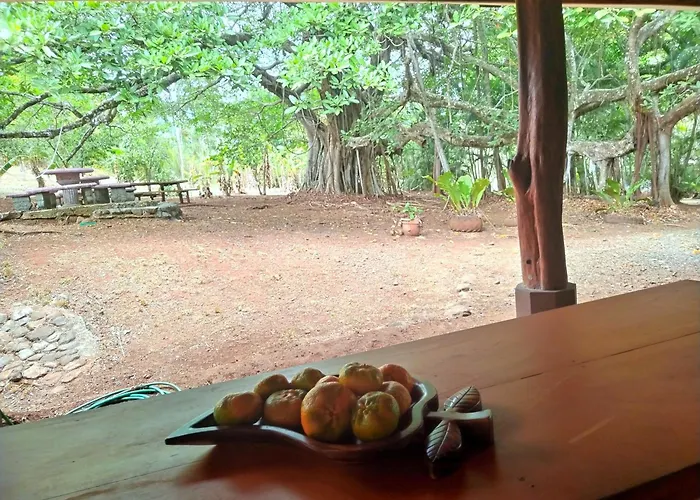 Villa Turtle Corozalito
